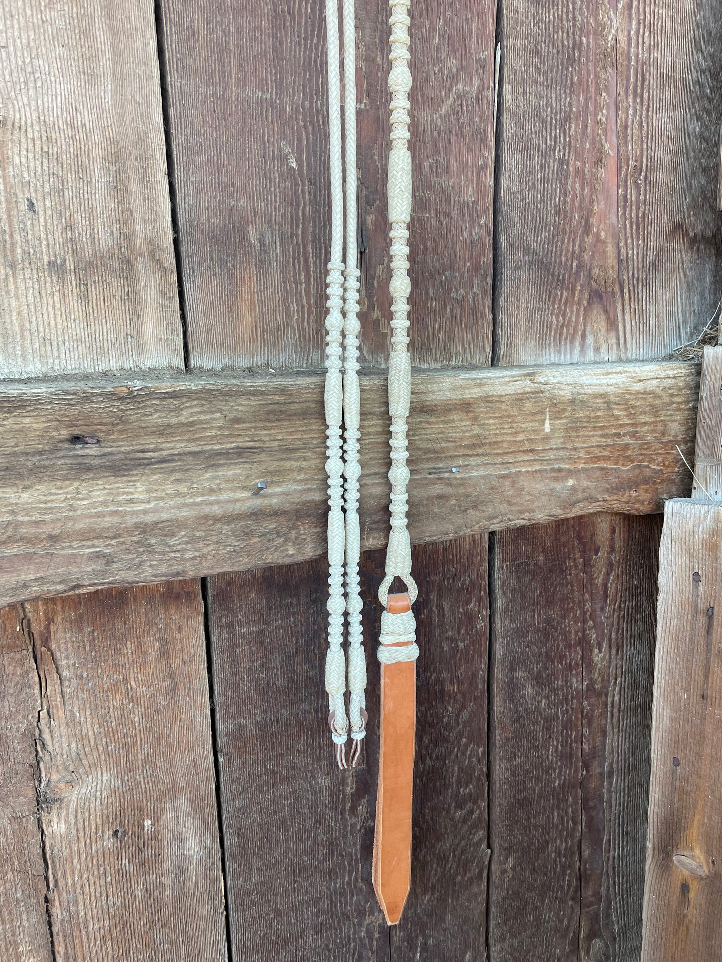 Ralph Dillon Romal Reins