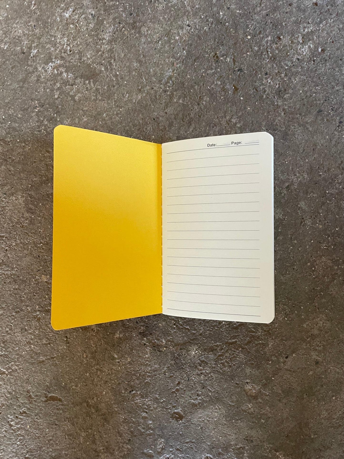 Salty's Tally Book