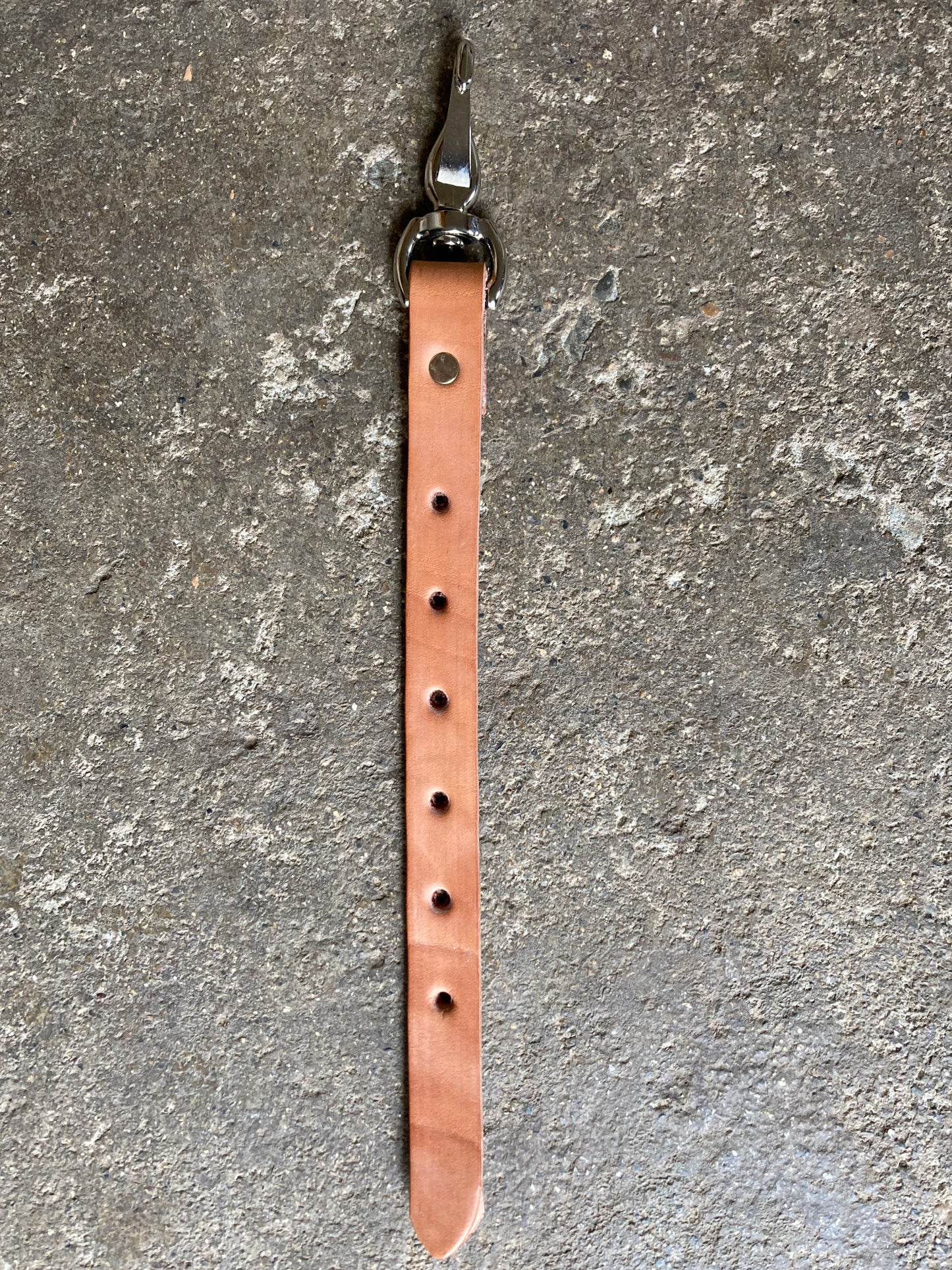 Snap Punched Cinch Hobble