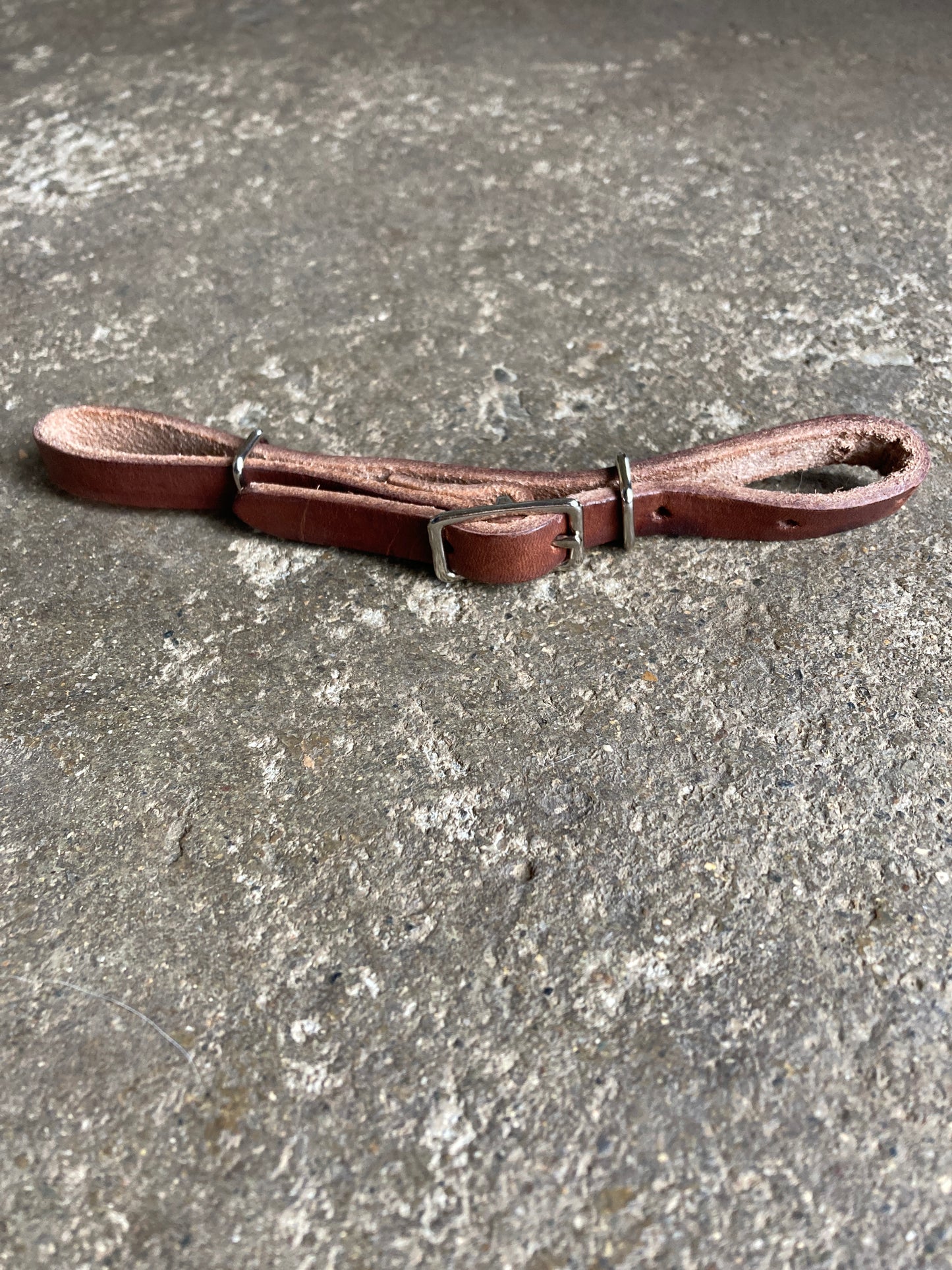 Single Buckle Curb Strap