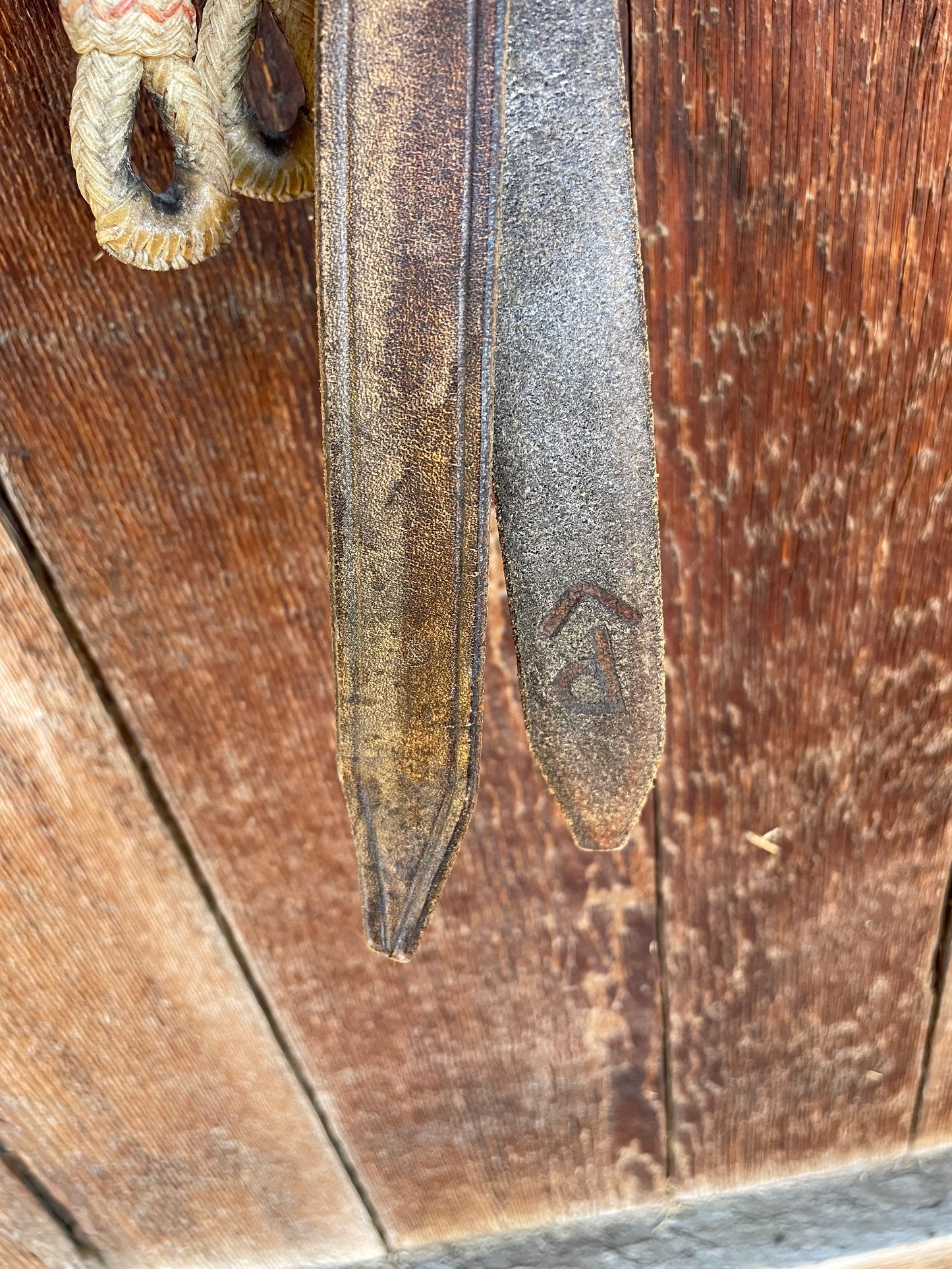 Ralph Dillon Romal Reins with Horsehair