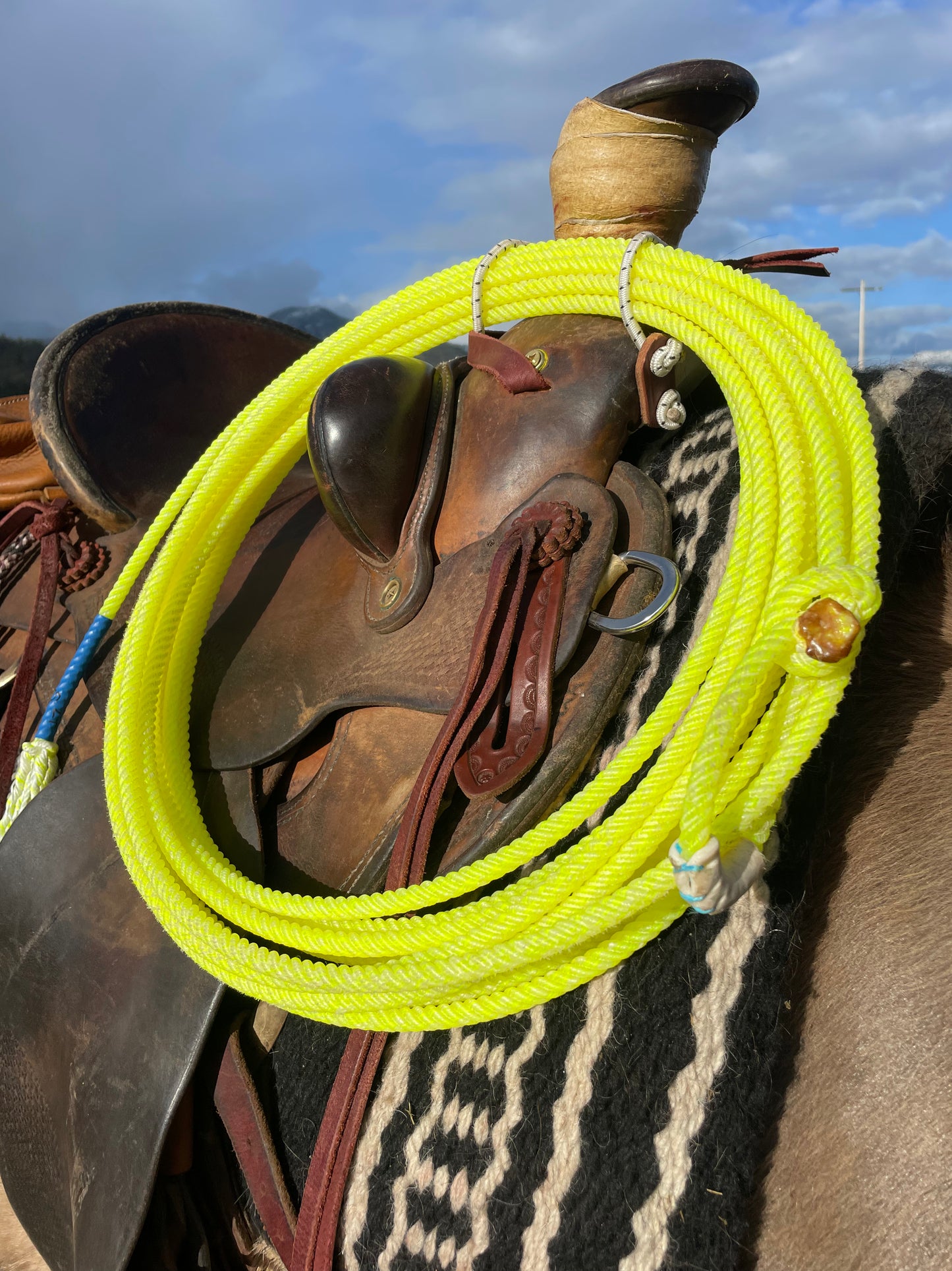 Ricky Bobby Ranch Rope