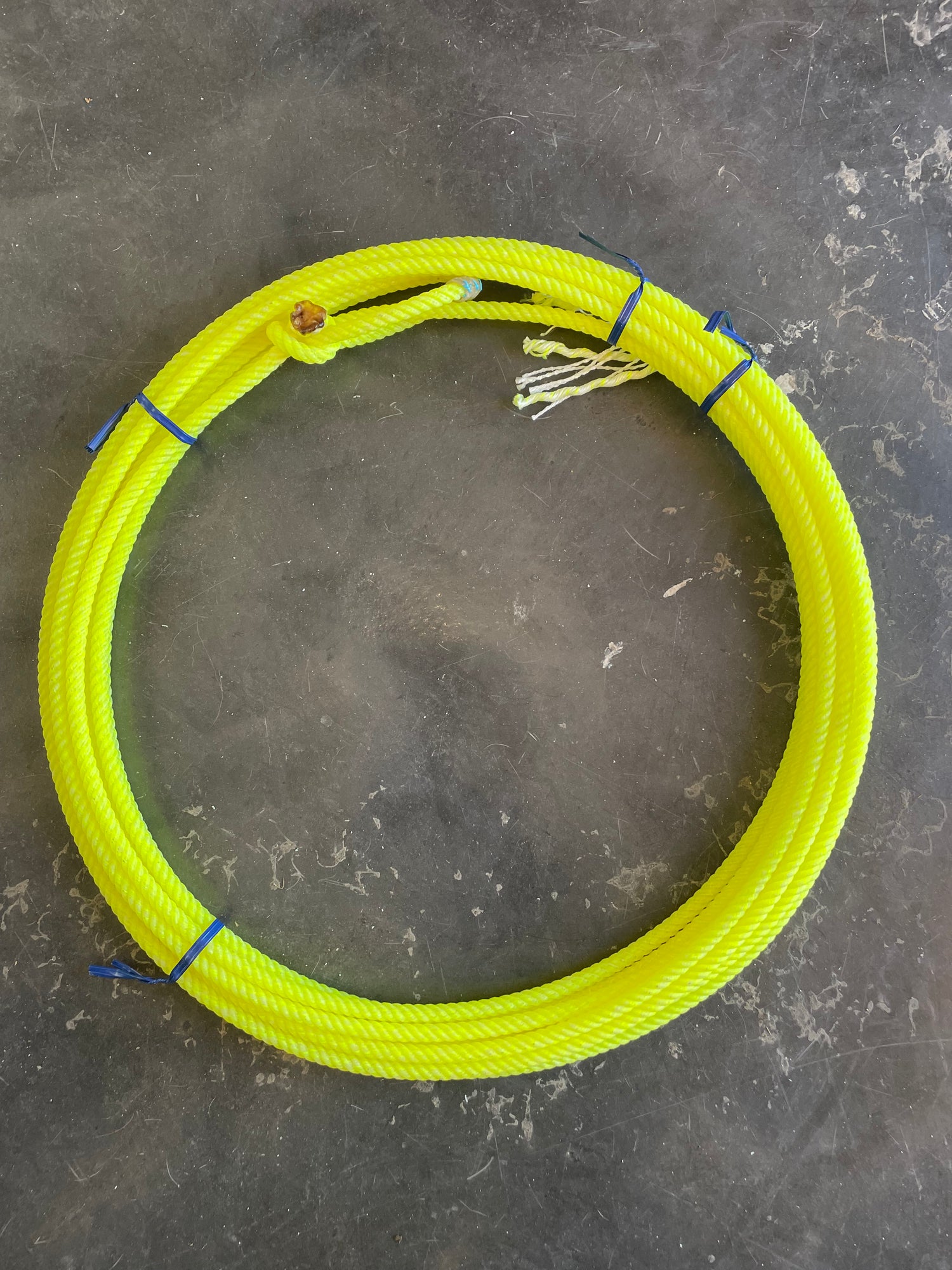 A coiled yellow horse riding rope with blue accents on a dark floor.