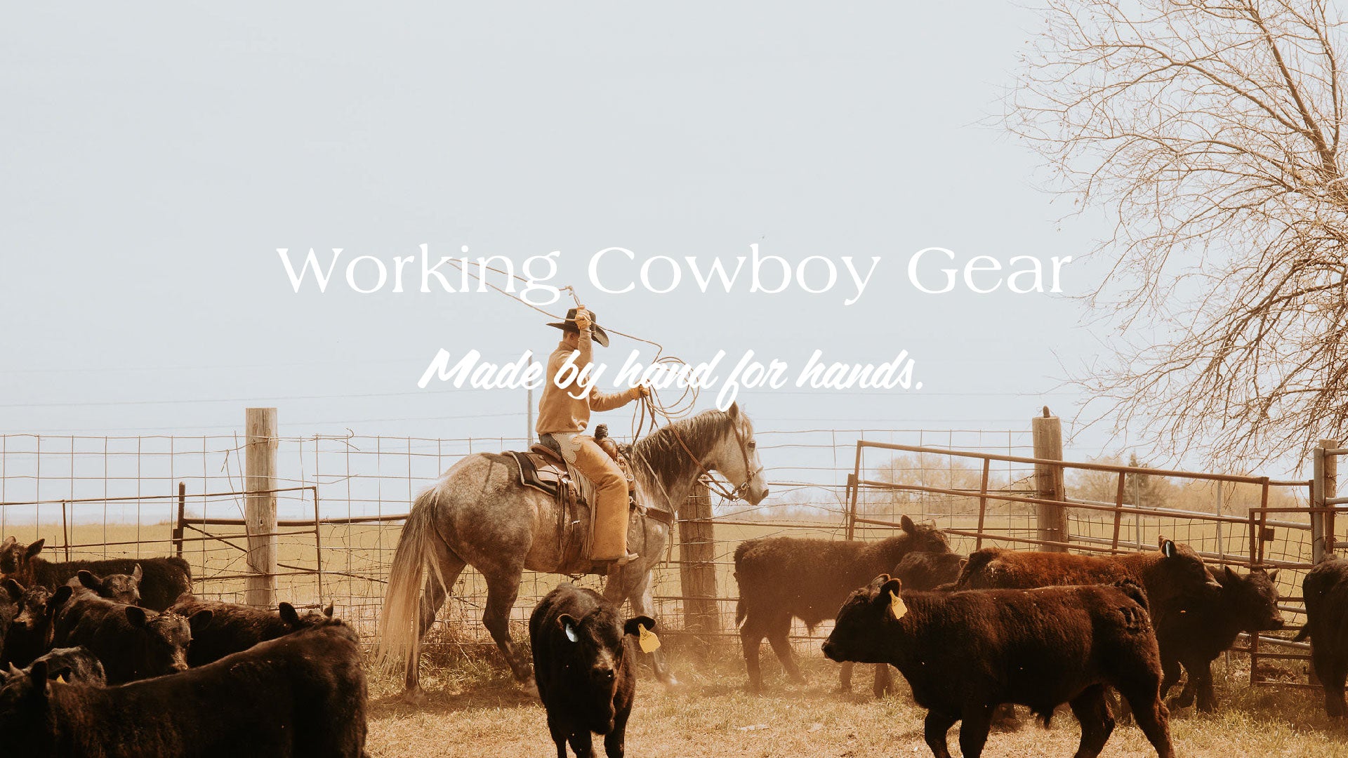 Roper at branding
