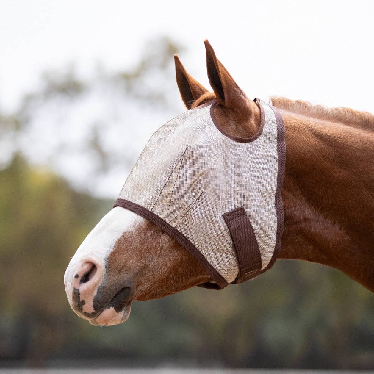 Classic Fly Mask