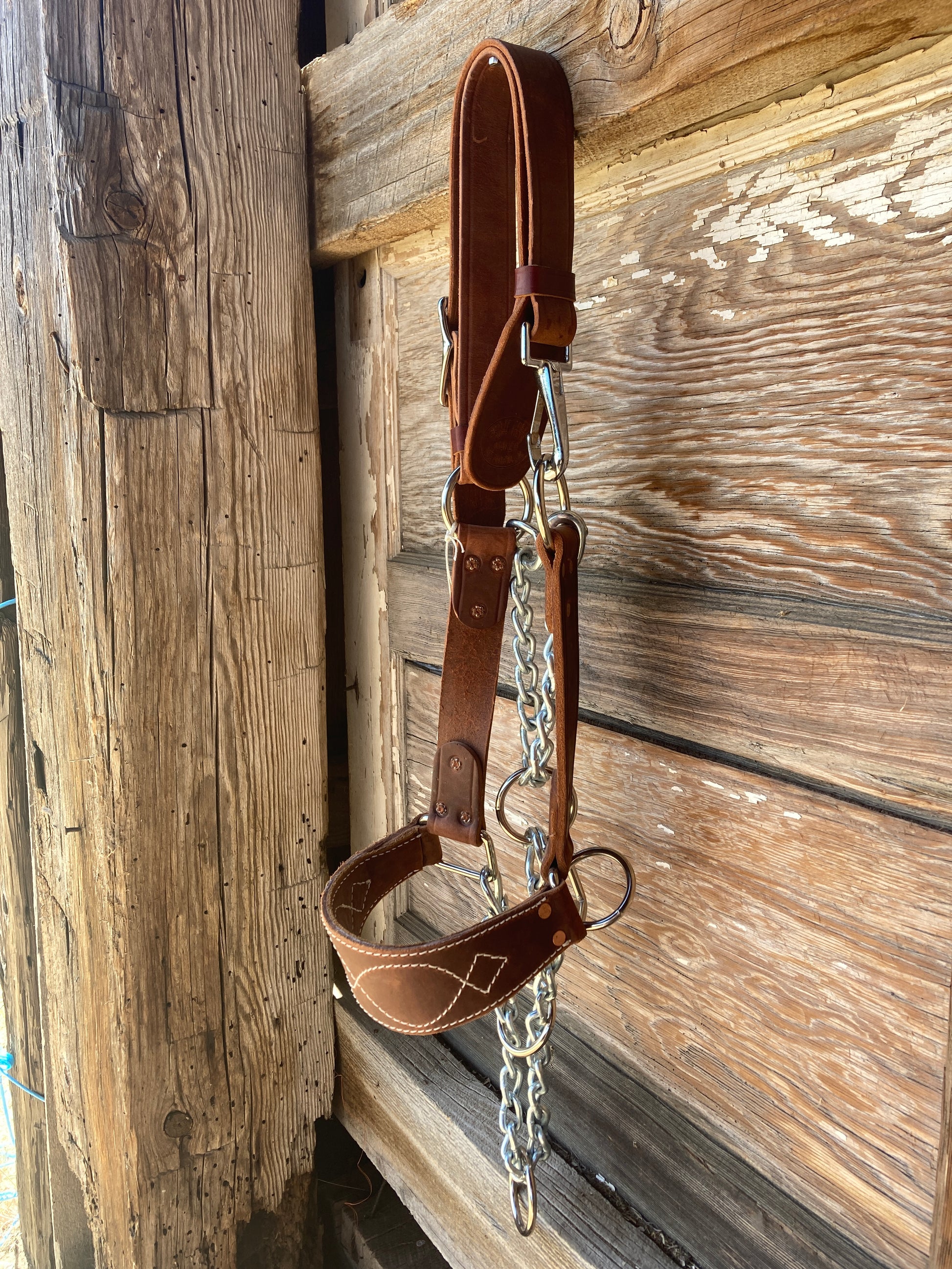 Chain Mule Halter